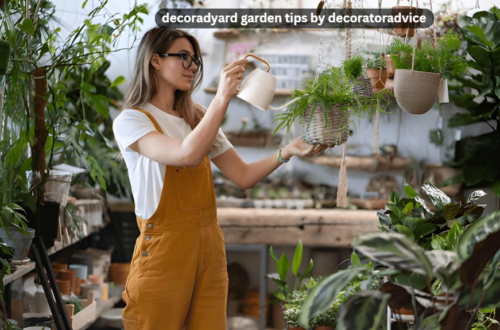 decoradyard garden tips by decoratoradvice